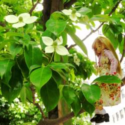 457530 B