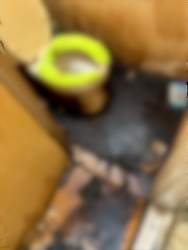 71510 B