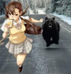 73379 B