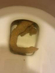 12239 B