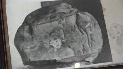 233692 B