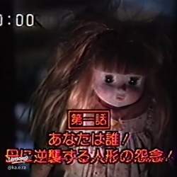 45662 B