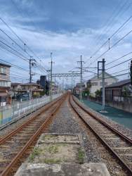 5321570 B