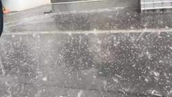 1128801 B