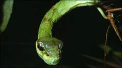 92704 B