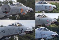 394449 B