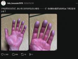 233566 B