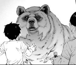 84208 B