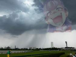 444657 B