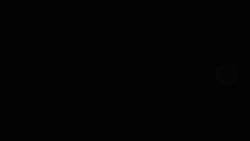 4620677 B