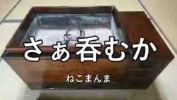 7915424 B