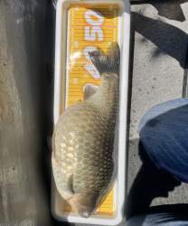 1422677 B