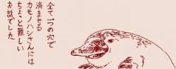 15203 B