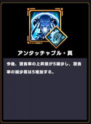 50781 B