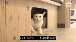 129559 B