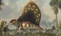 129764 B
