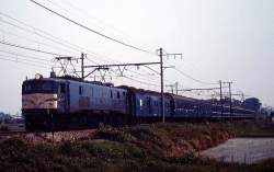 81397 B