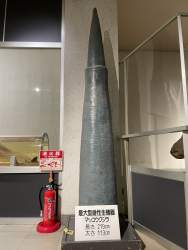 185171 B