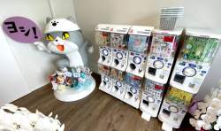 54033 B
