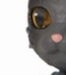 24392 B