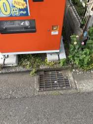 146442 B