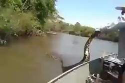 733562 B