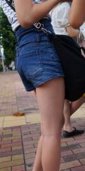 223513 B