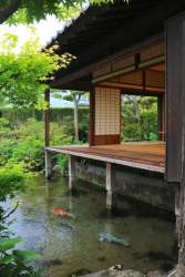 51402 B