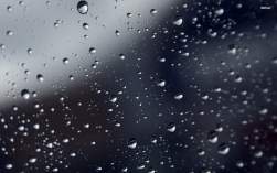 301804 B