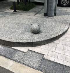 460397 B