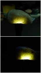 222891 B