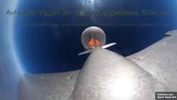 43294 B