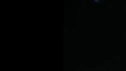 7954843 B