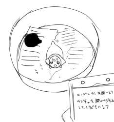 69638 B