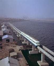 55529 B