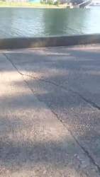 1215431 B