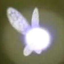 3012 B