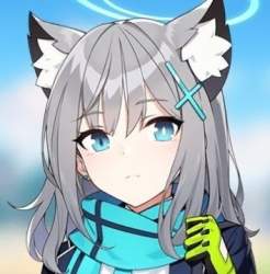 46054 B