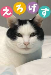 633931 B