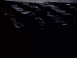 8126353 B