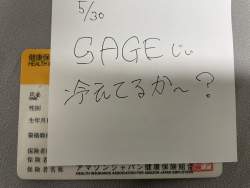 3133688 B