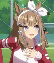 46196 B