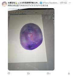 74619 B