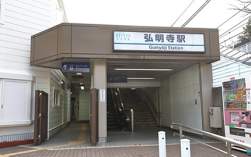 49784 B