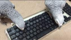 34350 B