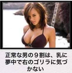 338882 B