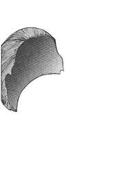 15436 B