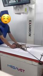 1028473 B