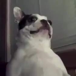 1066246 B