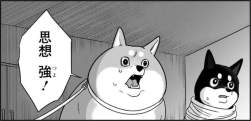 77541 B